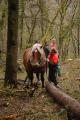 img010.jpeg.small.jpeg