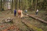 img015.jpeg.small.jpeg