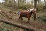 img024.jpeg.small.jpeg