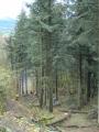 img010.jpeg.small.jpeg