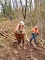 img024.jpeg.small.jpeg